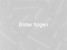 Bilder folgen